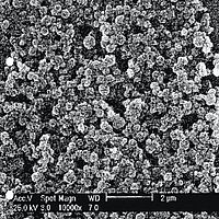 Scanning electron micrograph of a zeolite A layer on aluminum foil. The spherical zeolite A particles in the nanometer range are clearly visible.